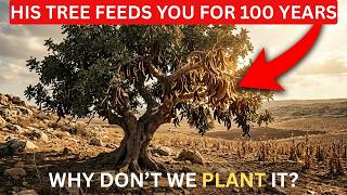 This Tree Produces Food for 100 Years—Why Don’t We Plant It?