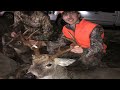 4 Big Bucks Down (Graphic) (Deer Drives)