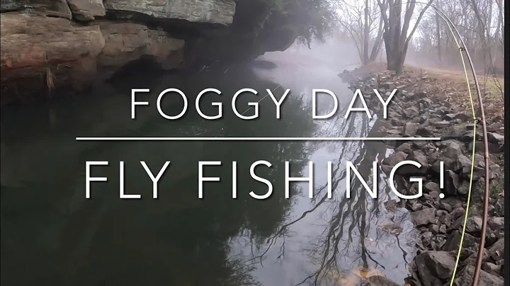 Last Fishing Trip of the Year — A Foggy Day of Fly Fishing for Rainbow Trout
