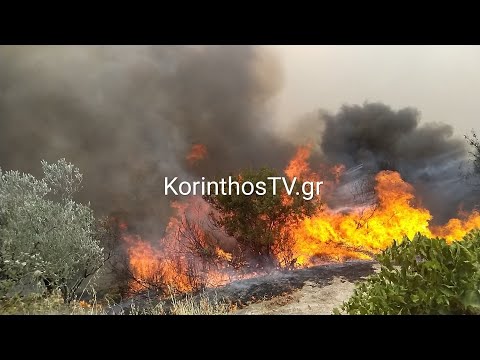 Σε εξέλιξη η πυρκαγιά σε αγροτική έκταση στην περιοχή Καλέντζι Κορινθίας