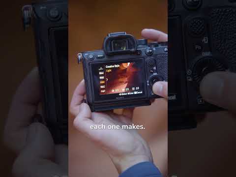 Как использовать творческие стили вашей камеры