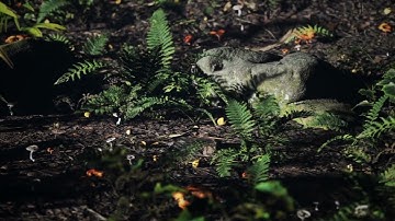 FOREST | Quixel Megascans | Unreal Engine 5 | Lumen