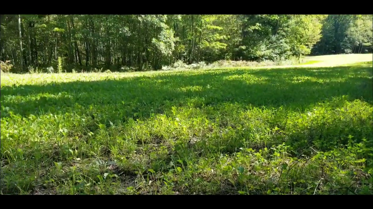79 'Fall Food Plot Fertilizing' Complete Deer TV Landscaping for