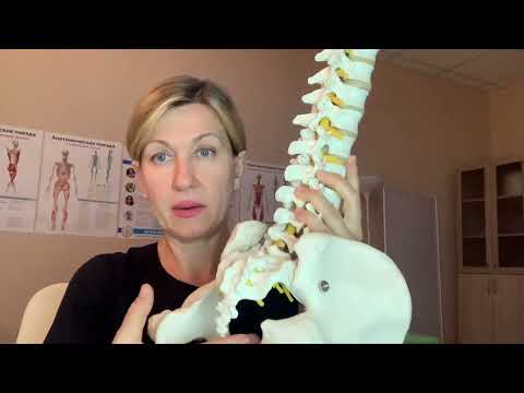 как укрепить простату