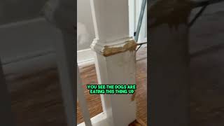 Why You Need to Screen Your Tenants