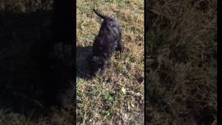 IMG 7106 1