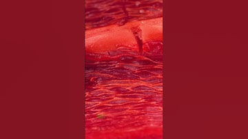 Thumbnail of Breaking Pepper Close-up | Original sounds created by @OddioStudio  Follow this Foley artist!