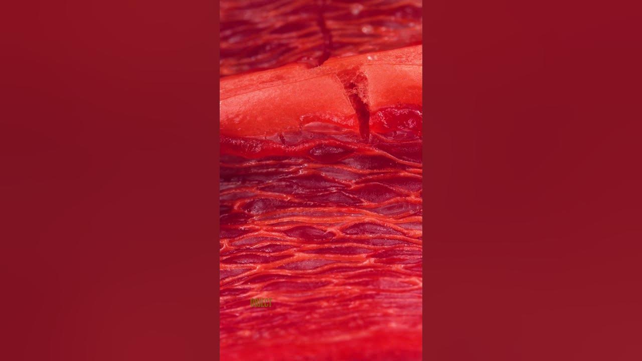 Breaking Pepper Close-up | Original sounds created by @OddioStudio  Follow this Foley artist!