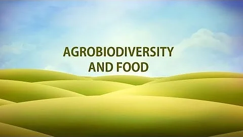 Agrobiodiversity and Food by Lin Deng