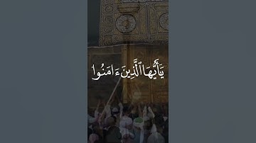 (أن الله وملائكته يصلون على النبي) تلاوة هادئة جميلة جداً💙 || اسلام صبحي