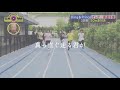 平野紫耀 × 推しへの感謝のうた 【平野紫耀】【歌詞動画】