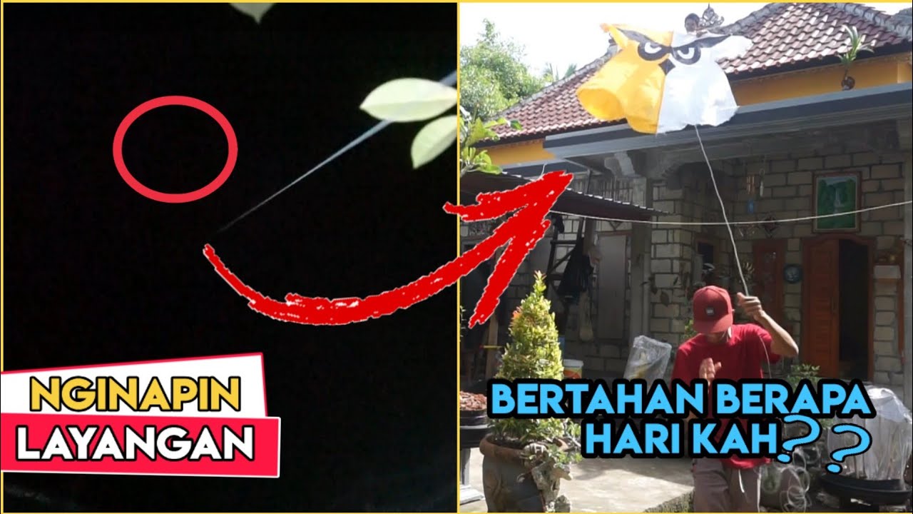 (Part 1) NGINAPIN LAYANGAN, Layangan Anti Hujan & Badai 😎 Layangan Celepuk