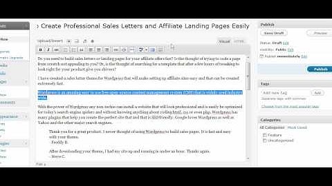 Wordpress Sales Letter Theme