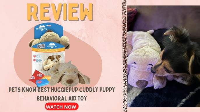 Snuggle Puppy Reviews - Paw of Approval - The Dodo