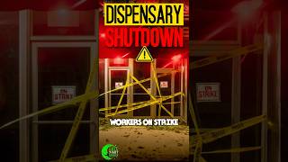 Cannabis Taxes CRUSH Businesses: Unions Help Paychecks! #podcast #news #business #cannabiscommunity