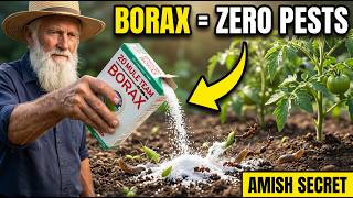 Two Spoons of Borax Eliminate ANY Garden Pest Forever — The Trick They Tried to Bury