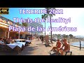 Tenerife  this is the reality in playa de las amricas in 2022