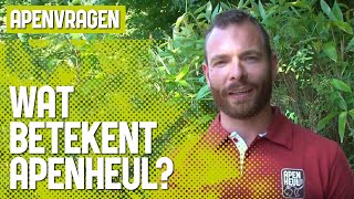 Wat Betekent Apenheul Eigenlijk? Apenvragen