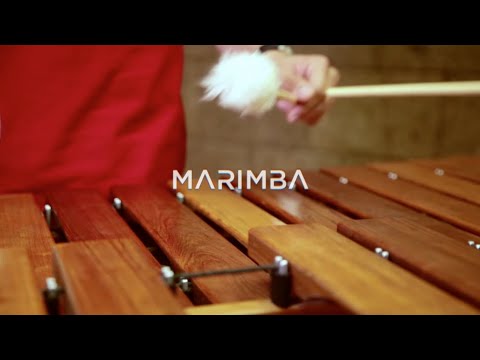 Resonancias, la armonía del sonido: Marimba