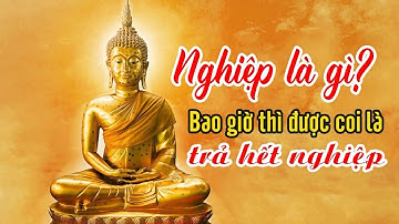 Lời Phật Dạy: Nghiệp Là Gì - Bao Giờ Được Coi Là Trả Hết Nghiệp I TỊNH TÂM