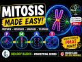Biology Conceptual Series | Mitosis Explained | Cell Cycle and Cell Division Part 2@NextGenScience