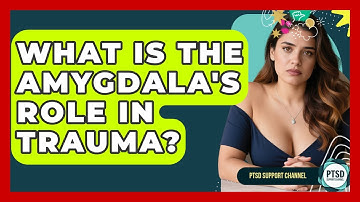 What Is The Amygdala