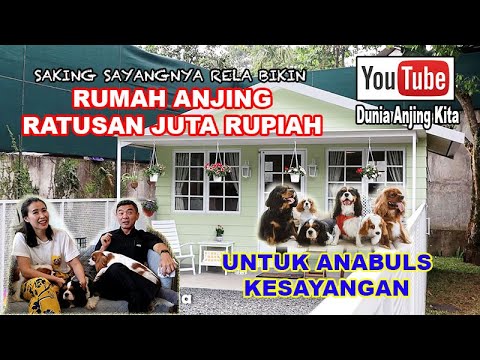 Video: Jika Hewan Peliharaan Anda Adalah Spaniel