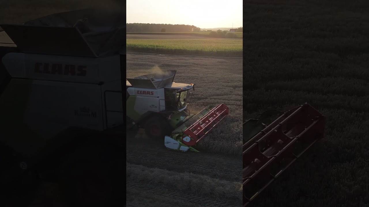 🇵🇱 Claas Trion 660 🌾 