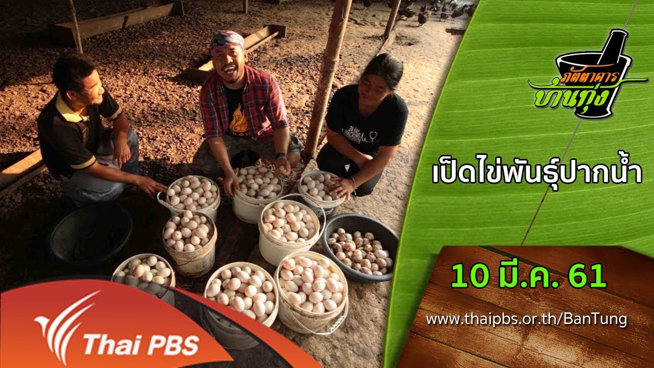 ภัตตาคารบ้านทุ่ง : เป็ดไข่พันธุ์ปากน้ำ (10 มี.ค. 61)