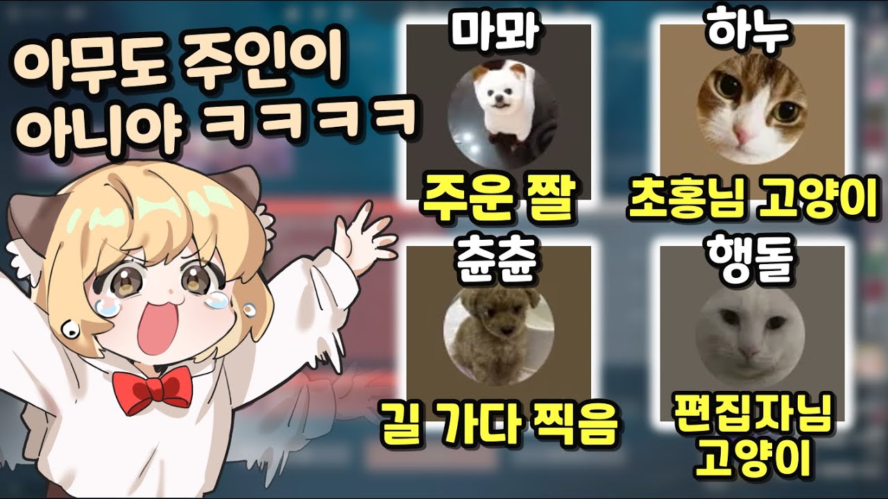 남의 집안 자식을 프사로 쓰는 사람들ㅋㅋㅋㅋㅋ