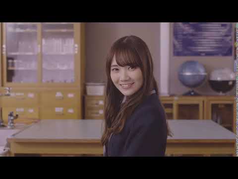 乃木坂46 乃木コレ 田村真佑 ノーマル コンプ SR 乃木坂46 乃木コレ 田村真佑 ノーマル コンプ SR 乃木坂46 乃木