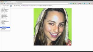 Aviary Photo Effects API Walkthrough - Watermarking screenshot 4