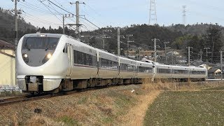 2019/03/18 5087M 特急 はしだて7号 289系(FG403編成+FH303編成)