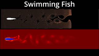 MATLAB CFD Wind Tunnel "Fish" Simulation