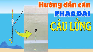 Hướng Dẫn Cách Cân Phao LỬNG Trong Câu Đài Câu Cá Mè, Cá Trắm Trắng Cực Kỳ Dễ Hiểu