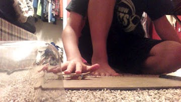 Finray FB sponser me video