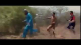 Video Lucu Dikejar Singa || Funny Video Being Chased by A Lion