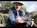 Blisters, hiking boots, socks and Salomon boot mini-reviews