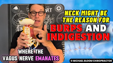 Why Your Neck Might Be The REAL Reason For Your Burps And Indigestion!