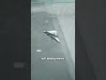 Turkey achieves major milestone with Anka-3 stealth drone