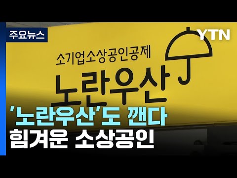 마지막 버팀목 노란우산 깨는 소상공인 급증 YTN 