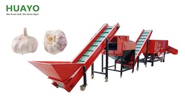 HGBS-3 3 t/h Garlic Bulb Splitter and Clove Sorter Machines for commercial use