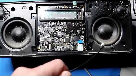 Squeezebox Boom Farting Bass Syndrome with Music