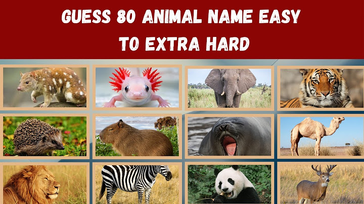 🔥 “80 Animals, 5 Seconds Each – Can Your Brain Handle the Wild Challenge?” 🧠🐾