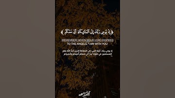 القارئ عبدالرحمن مسعد ( تلاوة هادئه سورة الانفال ) راحه نفسيه