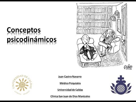 Conceptos psicodinámicos
