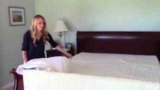 Bed Bug Service Video Revised