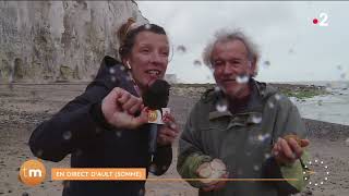 A Ault, au pied des falaises de la Baie de Somme // Télématin  Fenêtre sur les régions  France 2