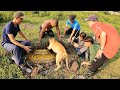 6 Brave Hunters And Hunting Dogs Dug The Ground To Catch A Giant Golden Python Weighing 200kg