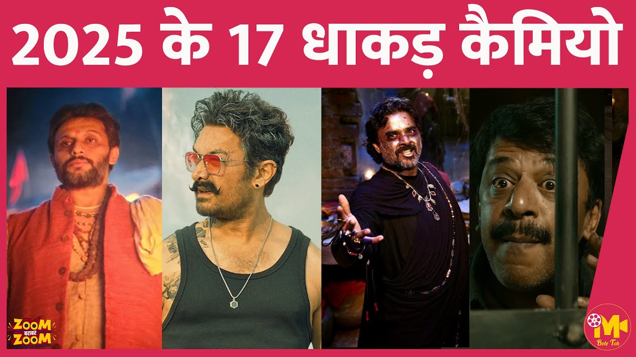 इस साल इन 17 प्रोजेक्ट्स में कमाल के कैमियो रोल्स दिखाई दिए, आपको कौन सा भाया था? Best Cameo 2025